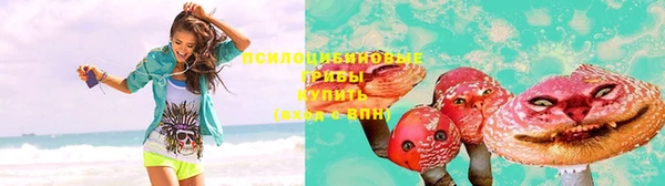 крисы Медвежьегорск